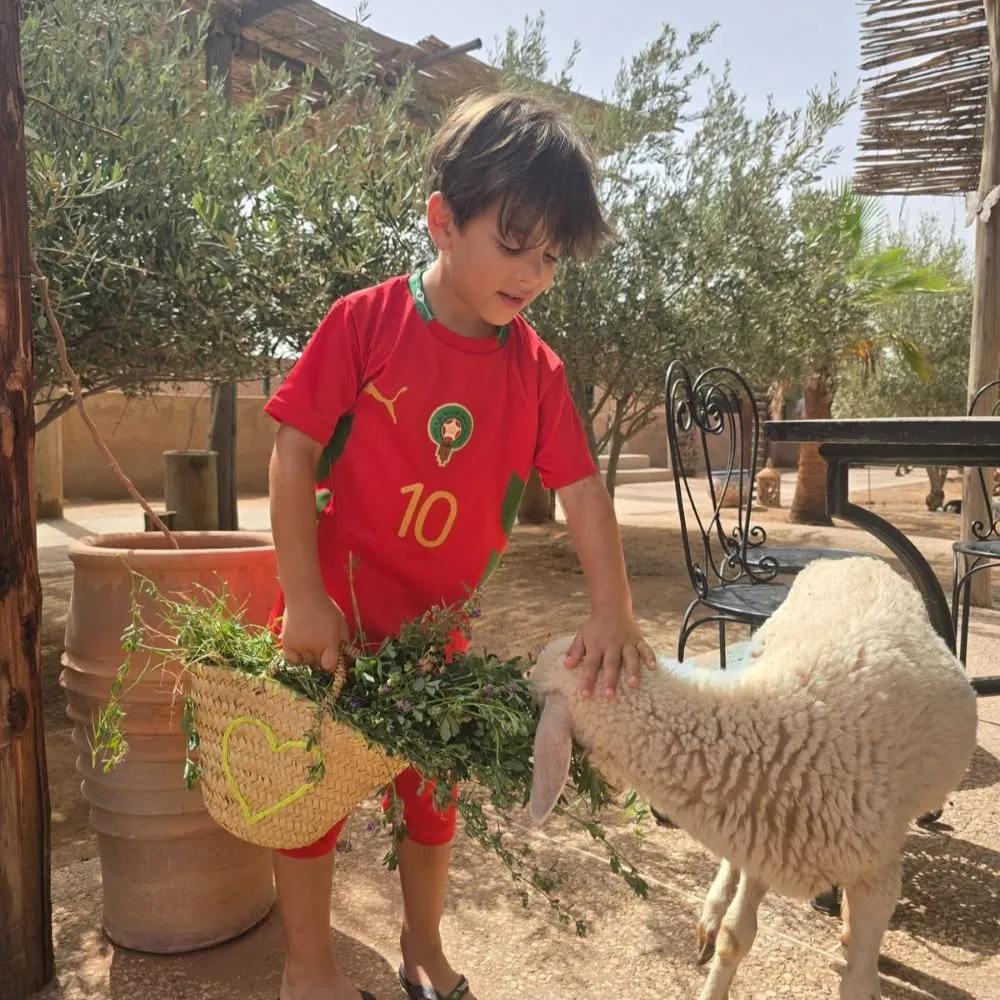Secret family farm marrakech enfant agneau nourrissage