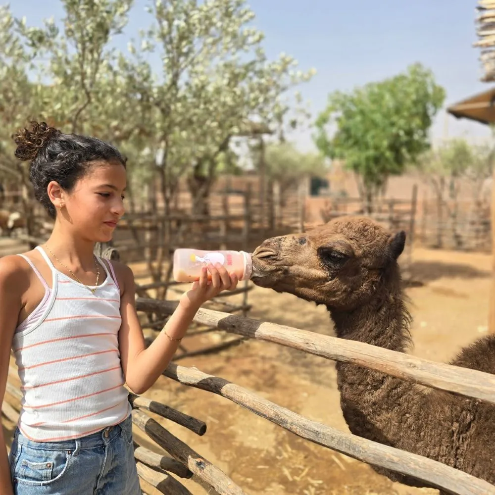 Secret family farm marrakech biberon bebe dromadaire fille